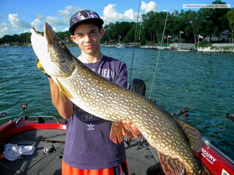 Summer Pike