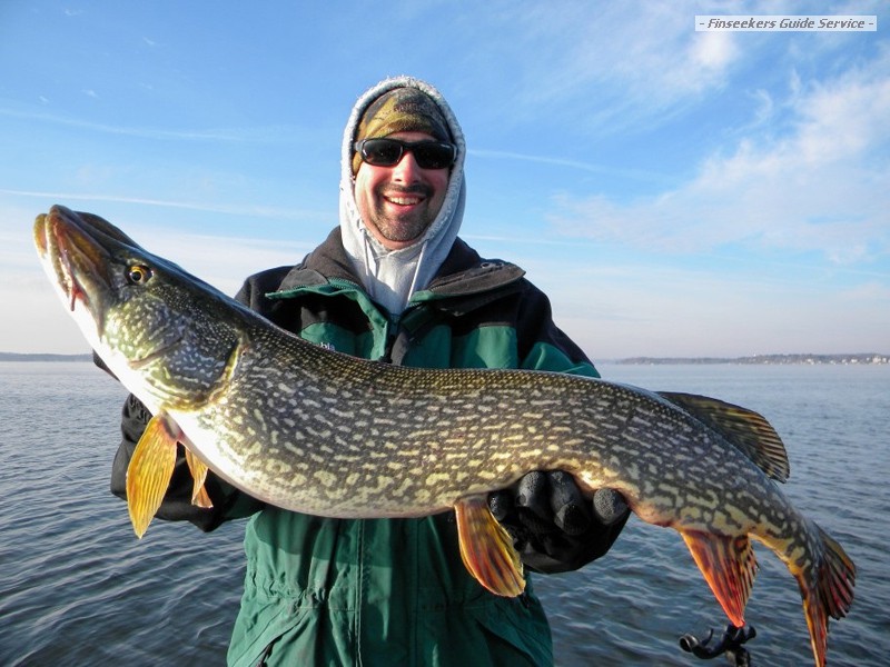 Early Season Pike Action